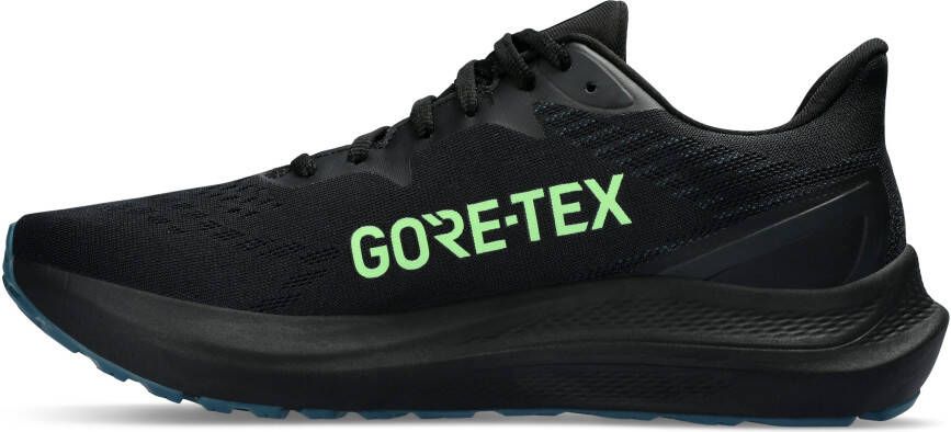 Asics Runningschoenen GT-2000 12 Gore-Tex