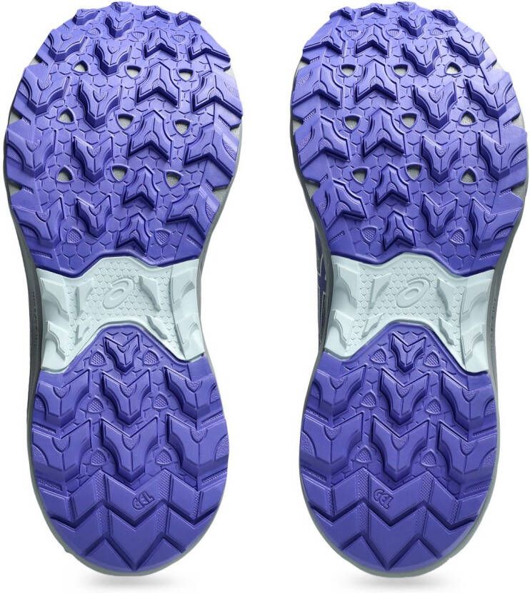 Asics Trailrunningschoenen GEL-VENTURE 10