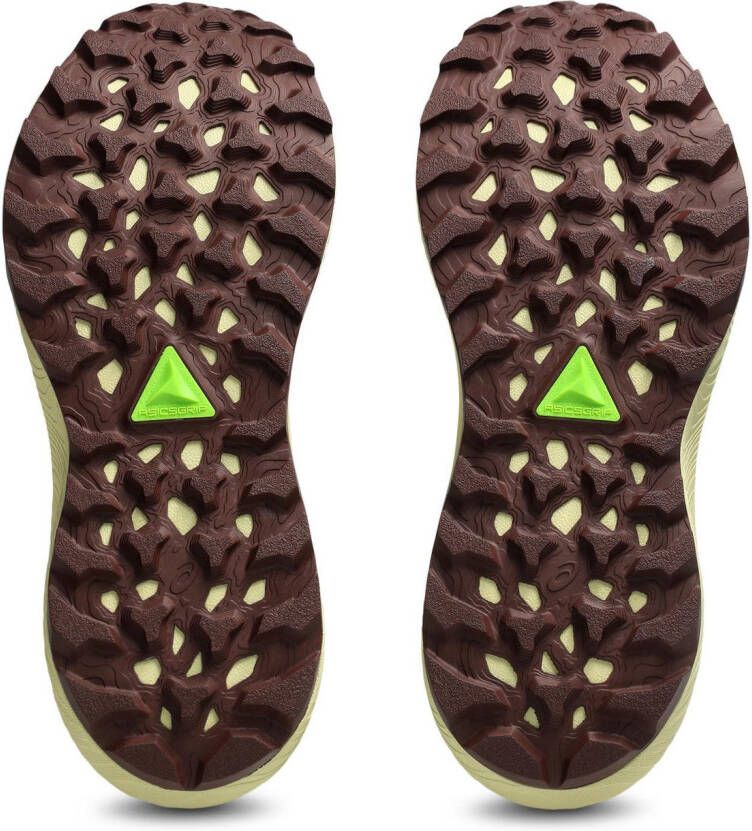 Asics Trailrunningschoenen TRABUCO TERRA 3