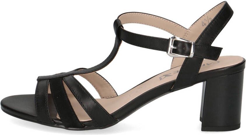 Caprice Sandaaltjes zomerschoen riemchensandalette blokhak met memory foam