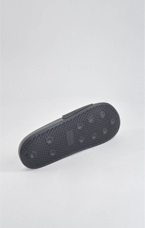 Champion Badslippers DAYTONA Slide
