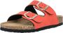 CRUZ Sandalen Whitehill W cork sandal - Thumbnail 11