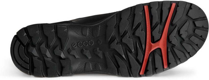 Ecco Winterlaarzen Xpedition III Outdoorschoen enkellaarsjes met gewatteerde schachtrand