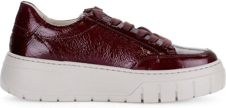 Gabor Plateausneakers Vrijetijdsschoen lage schoen veterschoen met gepolsterde schacht