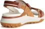 Geox Comfortabele platte sandalen voor vrouwen Brown Dames - Thumbnail 3