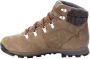 Jack Wolfskin Thunder Bay Texapore Mid Men Waterdichte winterschoenen Heren Light Brown Light Grey - Thumbnail 6