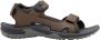 Jack Wolfskin LAKEWOOD CRUISE SANDAL M Heren Sandalen cold coffee - Thumbnail 3