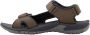 Jack Wolfskin LAKEWOOD CRUISE SANDAL M Heren Sandalen cold coffee - Thumbnail 4