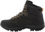 Jack Wolfskin Rebellion Texapore Mid Men Waterdichte trekkingschoenen Heren Phantom Burly Yellow Xt - Thumbnail 5