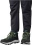 Jack Wolfskin Vojo Tour Texapore Mid Waterdichte wandelschoenen black forest - Thumbnail 8