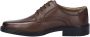 Josef Seibel Veterschoenen Elliot 01 zakelijke schoen feestdag schoen comfort schoen in breedte g (breed) - Thumbnail 9