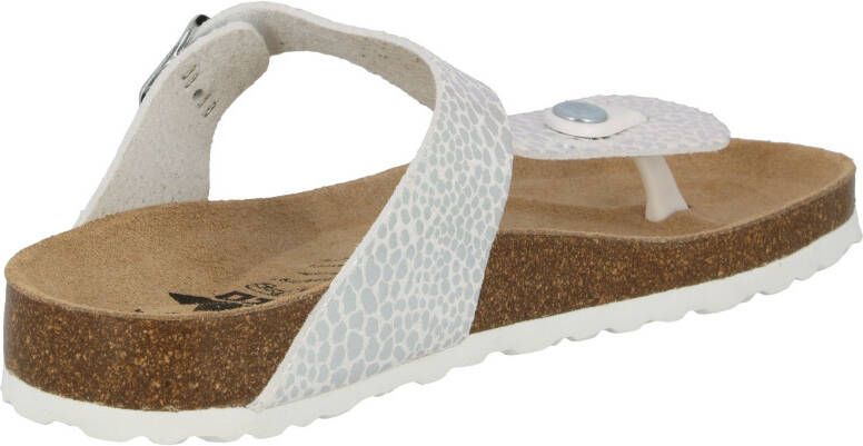 Lico Slippers Teenslippers Bioline Stone