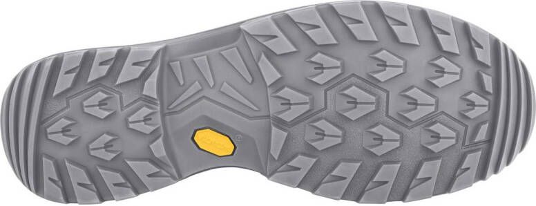 Lowa Wandelschoenen RENEGADE EVO GTX MID