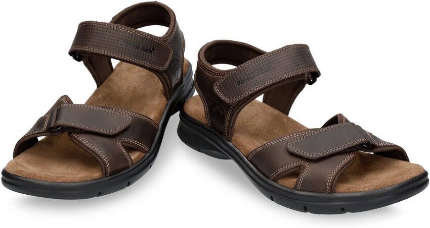 Panama Jack Sandalen Sanders Zomerschoen outdoorsandaal vakantieschoen met klittenbandsluitingen