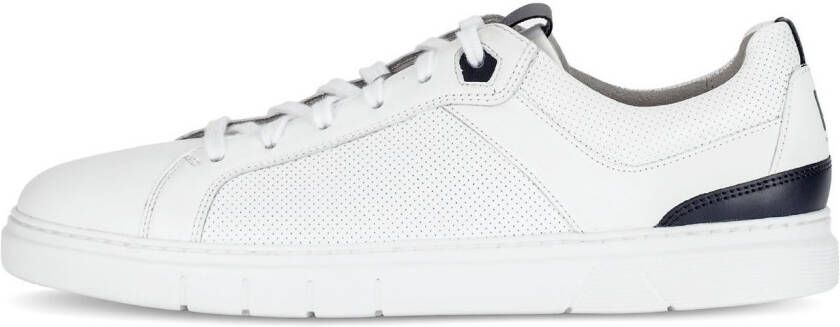 Pius Gabor Plateausneakers vrijetijdsschoen lage schoen veterschoen met perforatie breedte g