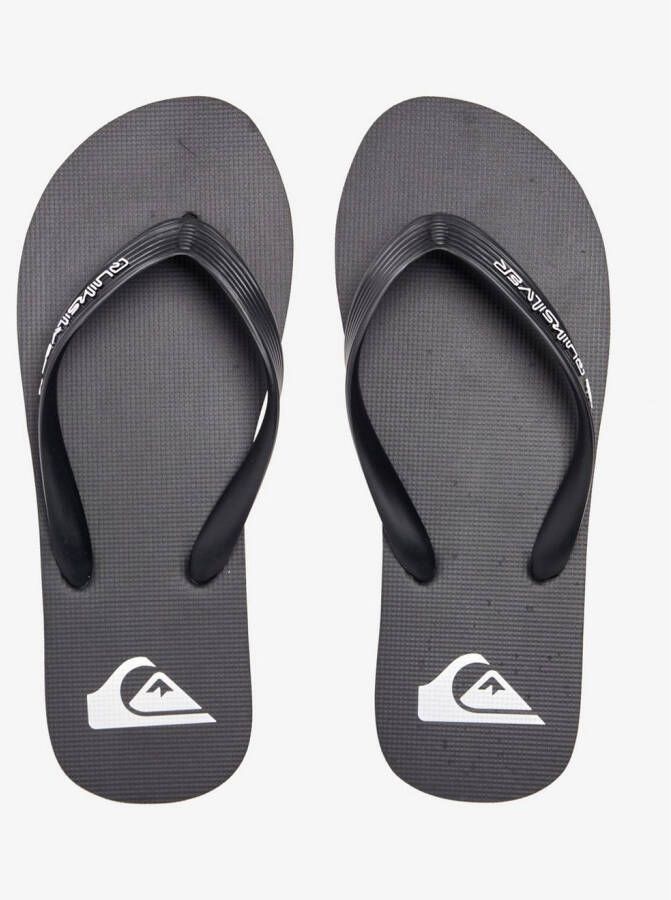 Quiksilver Teenslippers Molokai Core