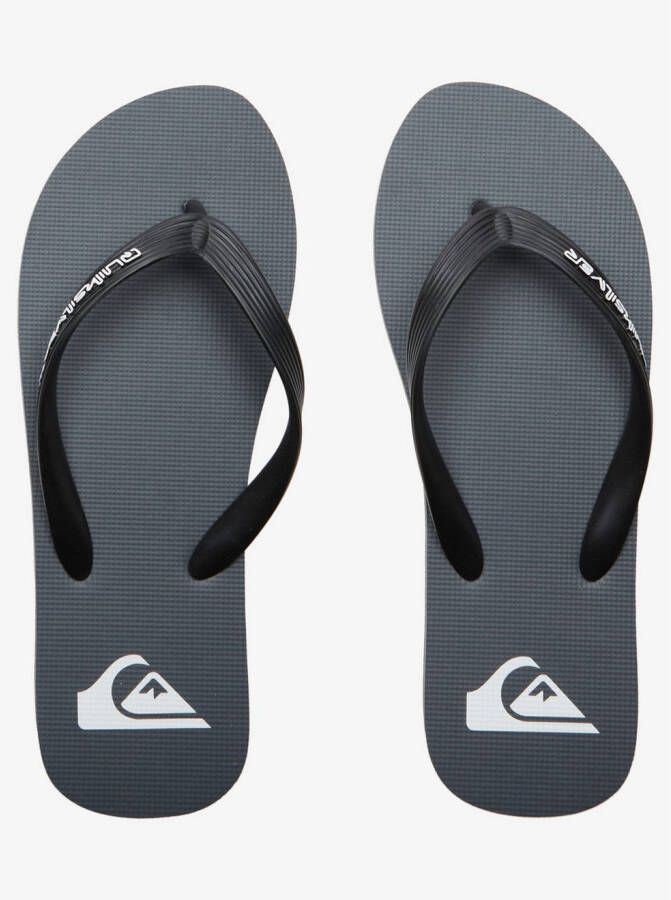 Quiksilver Teenslippers Molokai Core
