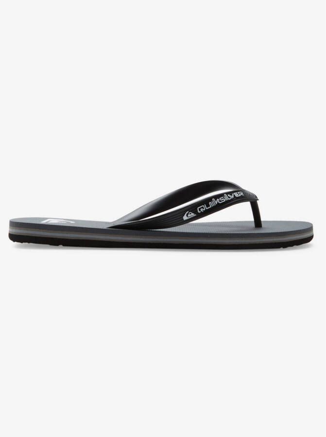 Quiksilver Teenslippers Molokai Core