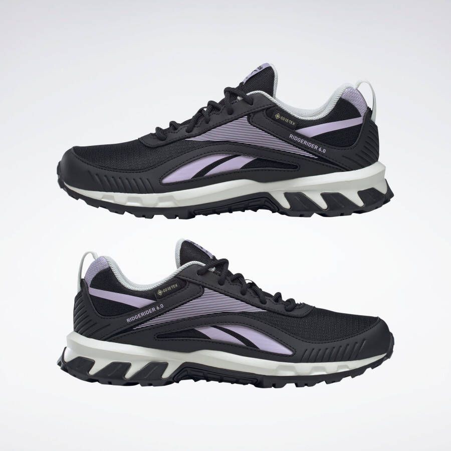 Reebok Wandelschoenen RIDGERIDER 6 Gore-Tex W