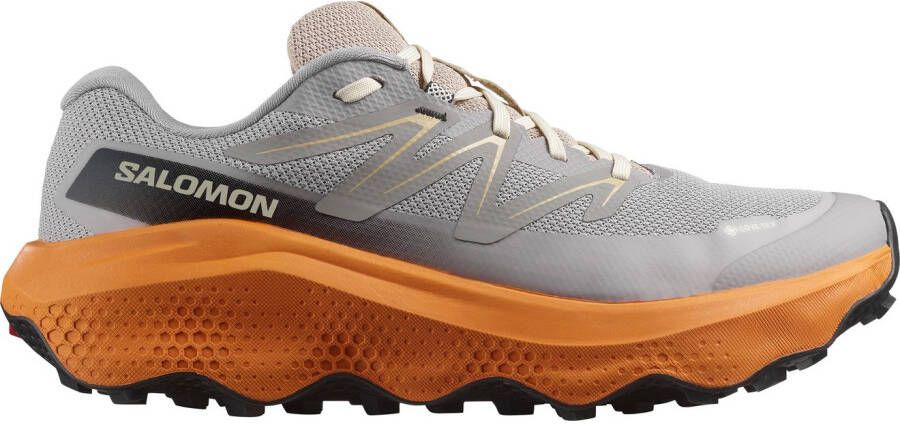 Salomon Runningschoenen ULTRA FLOW 2 GORE-TEX