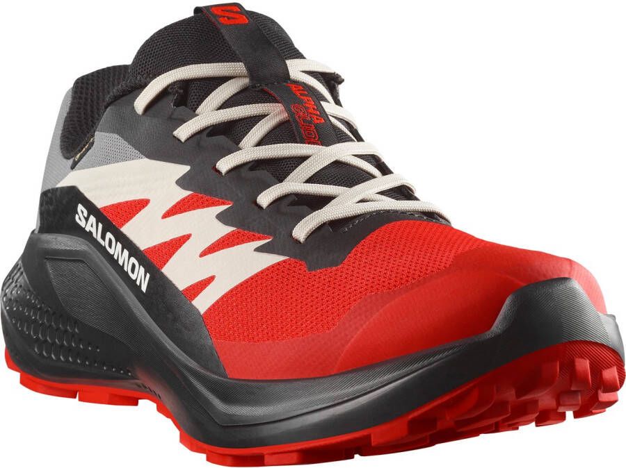 Salomon Runningschoenen ALPHAGLIDE GORE-TEX