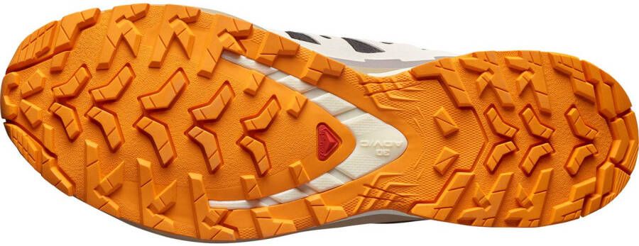Salomon Runningschoenen XA PRO 3D V9 GORE-TEX