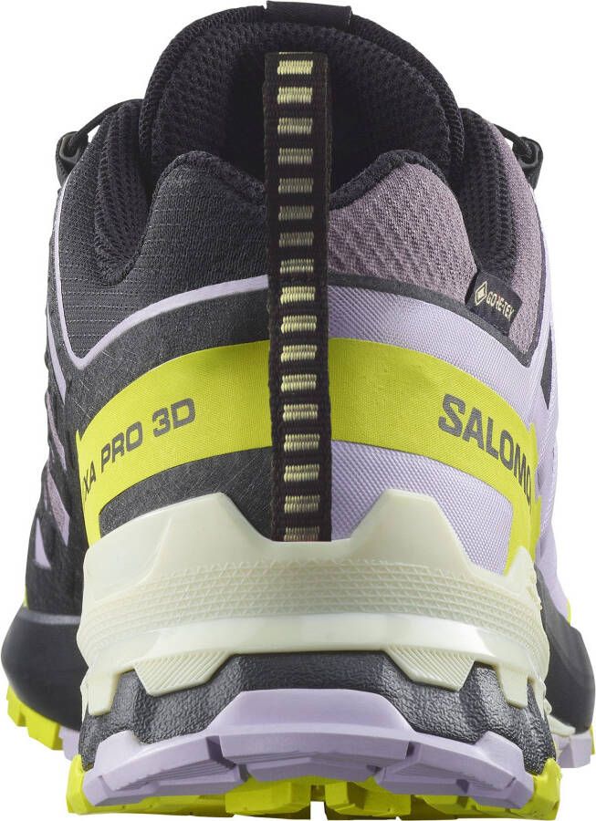 Salomon Trailrunningschoenen XA PRO 3D V9 GORE-TEX