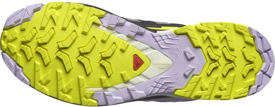 Salomon Trailrunningschoenen XA PRO 3D V9 GORE-TEX