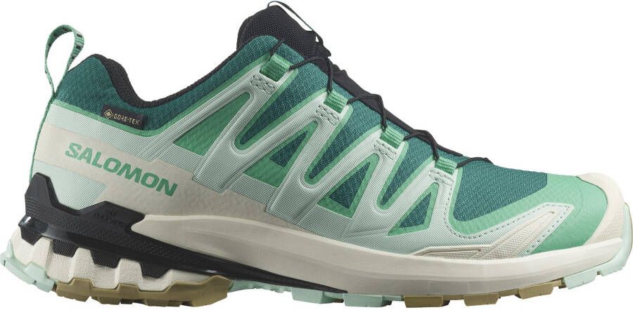Salomon Trailrunningschoenen XA PRO 3D V9 GORE-TEX