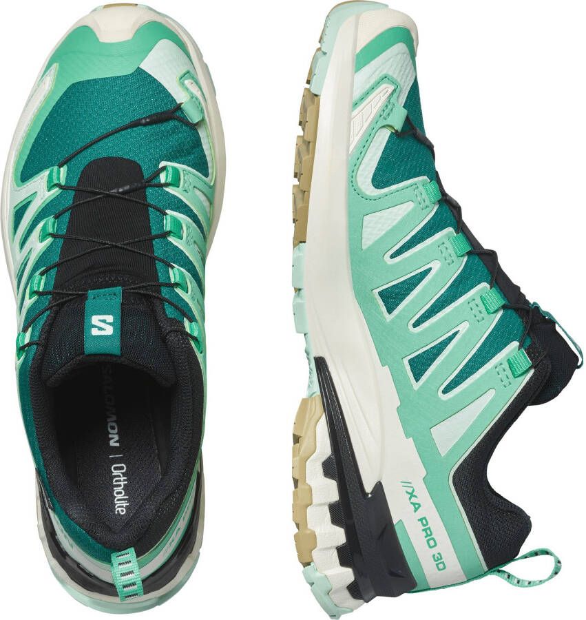 Salomon Trailrunningschoenen XA PRO 3D V9 GORE-TEX