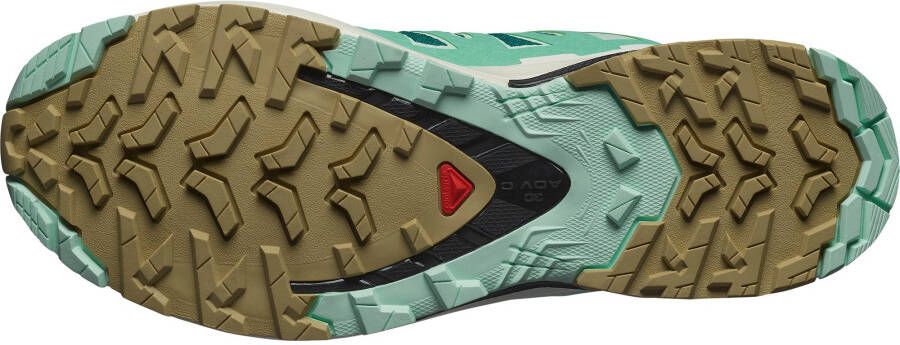 Salomon Trailrunningschoenen XA PRO 3D V9 GORE-TEX