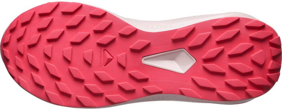 Salomon Trailrunningschoenen ALPHAGLIDE GTX W