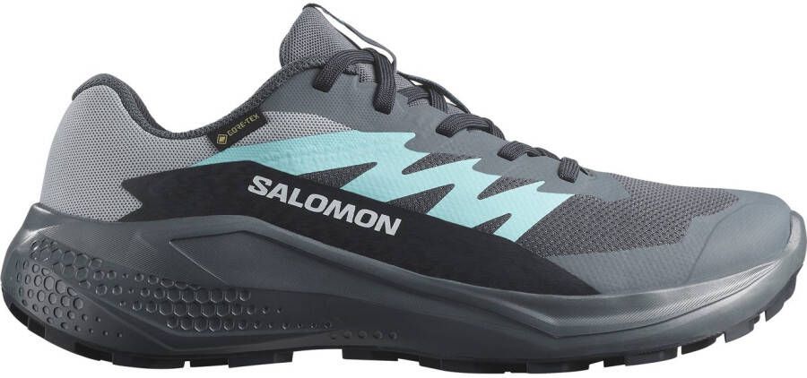 Salomon Trailrunningschoenen ALPHAGLIDE GTX W