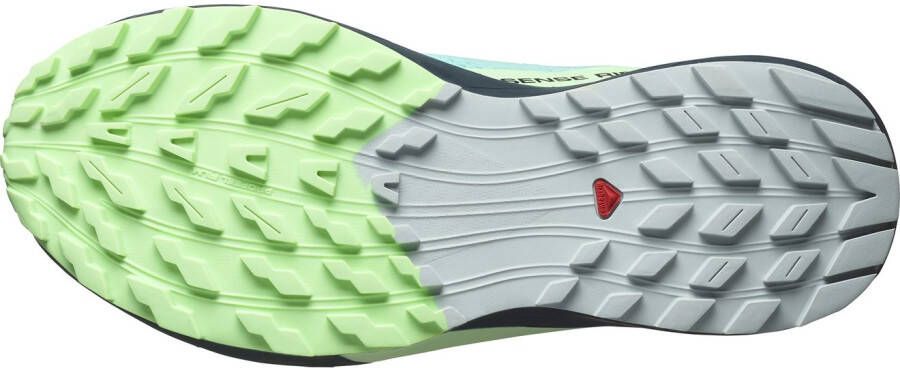 Salomon Trailrunningschoenen SENSE RIDE 5 GORE-TEX W waterdicht trailrunningschoenen