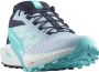Salomon Women's Sense Ride 5 Trailrunningschoenen grijs - Thumbnail 4
