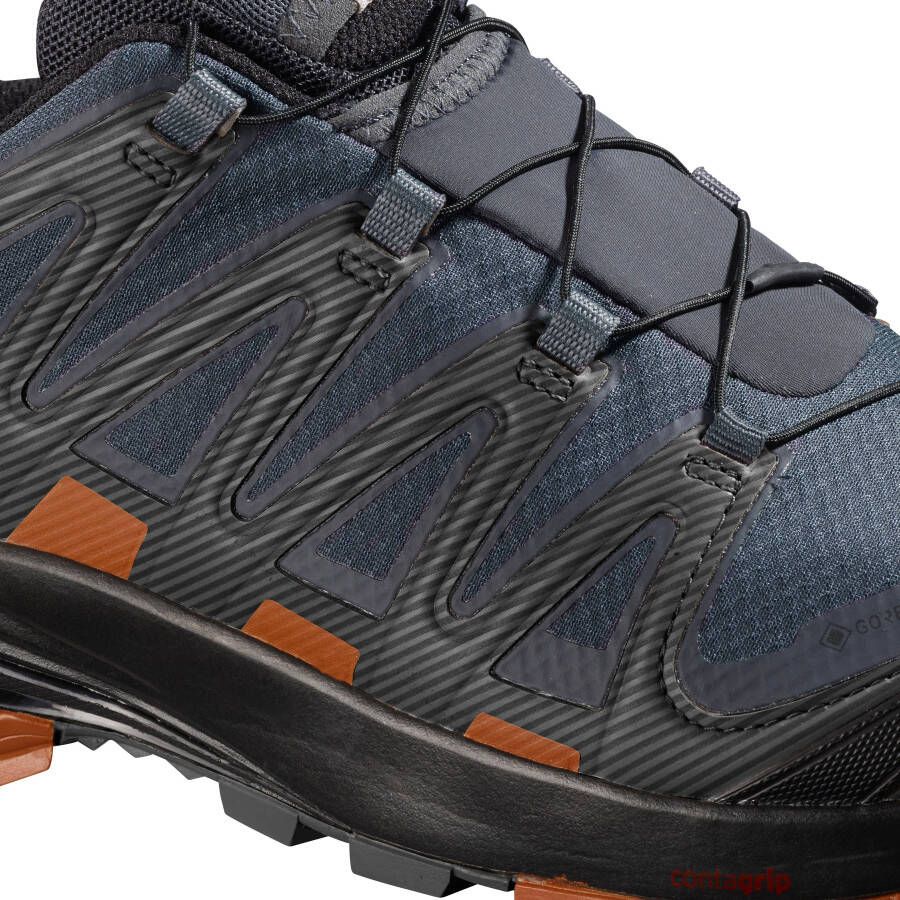 Salomon Trailrunningschoenen XA PRO 3D v8 GORE-TEX