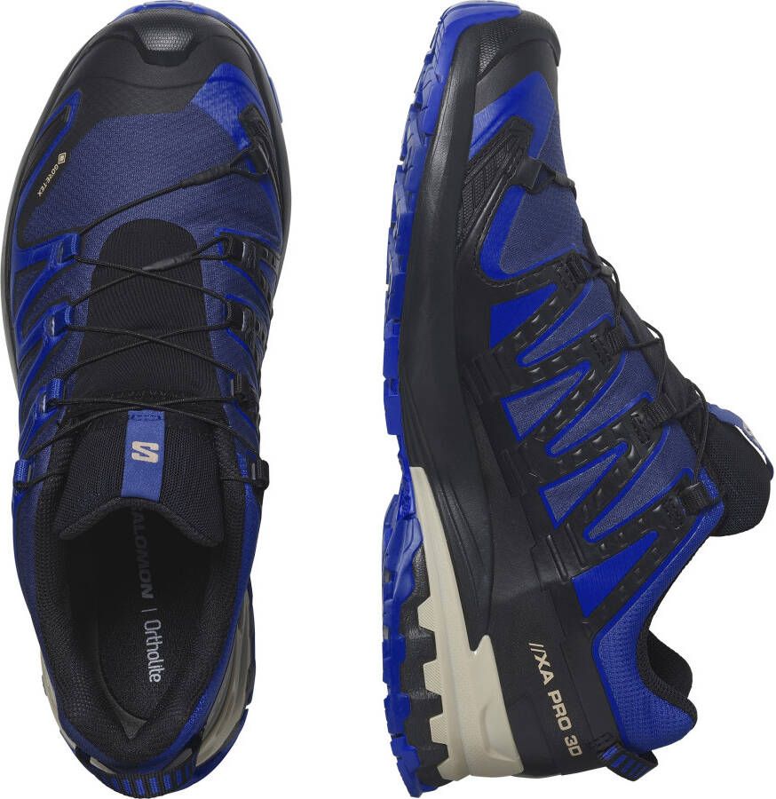 Salomon Trailrunningschoenen XA PRO 3D V9 GORE-TEX