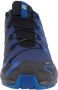 Salomon XA Pro 3D V9 GTX Wandelsneakers heren Blauw 42+ - Thumbnail 5