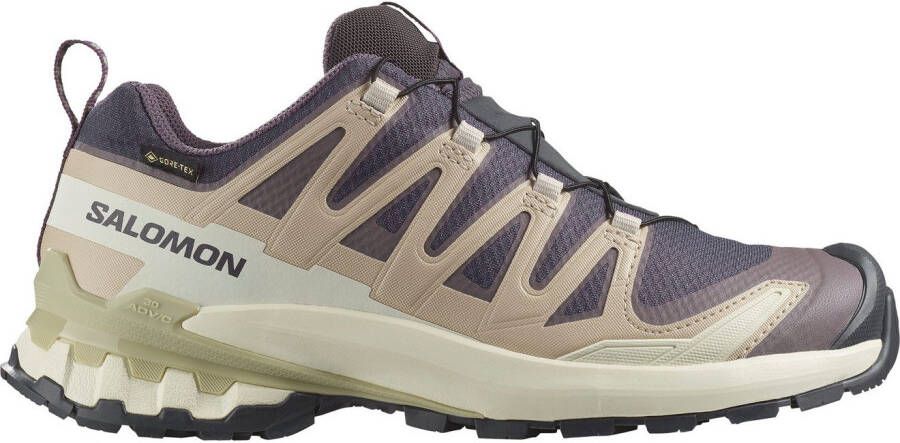 Salomon Trailrunningschoenen XA PRO 3D V9 GTX W