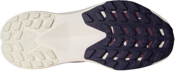 The North Face Trailrunningschoenen W ALTAMESA 300
