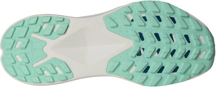 The North Face Trailrunningschoenen W ALTAMESA 300