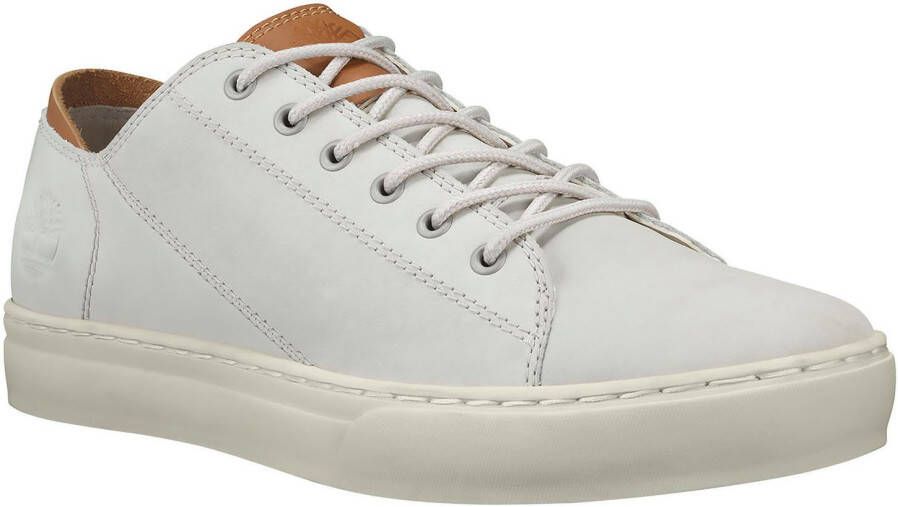 Timberland Sneakers Maple Grove Lthr Ox