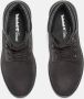 Timberland Veterschoenen LINDEN WOODS 6 INCH LACE UP WATERPROOF BOOT Winterlaarzen veterschoenen winterschoenen waterdicht - Thumbnail 7