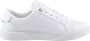 Tommy Hilfiger Witte Court Sneaker voor Vrouwen White Dames - Thumbnail 14