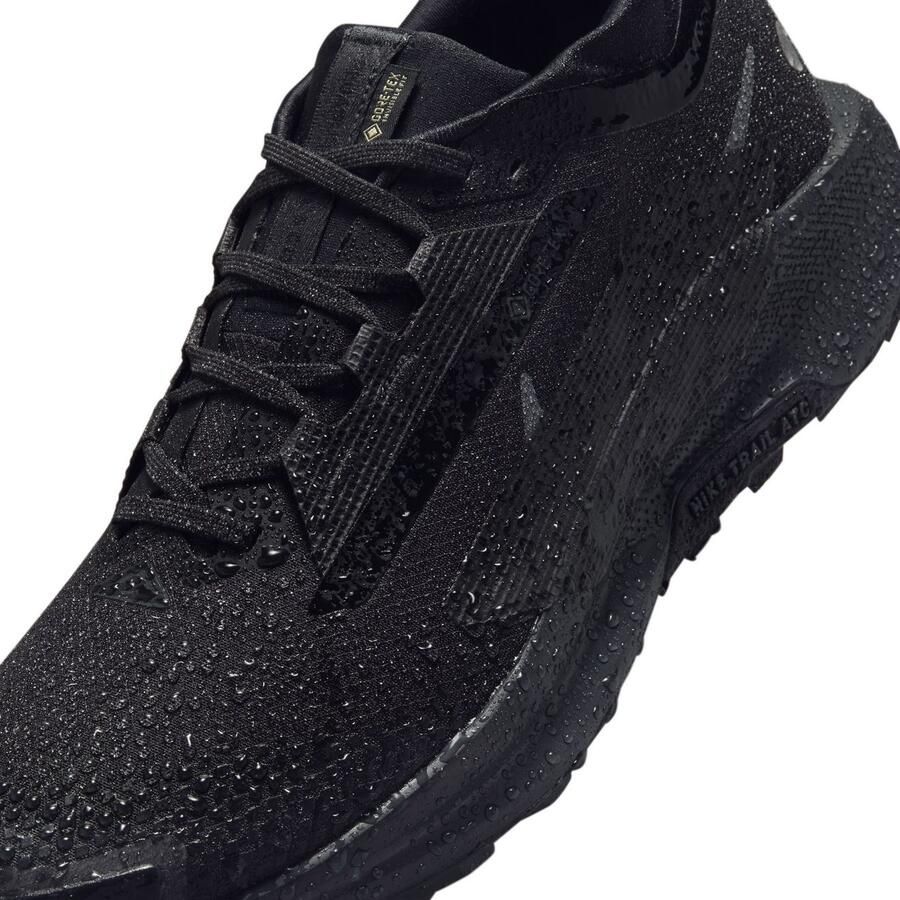Nike Waterdichte trailrunningschoenen voor heren Pegasus Trail 5 GORE-TEX Black- Heren Black