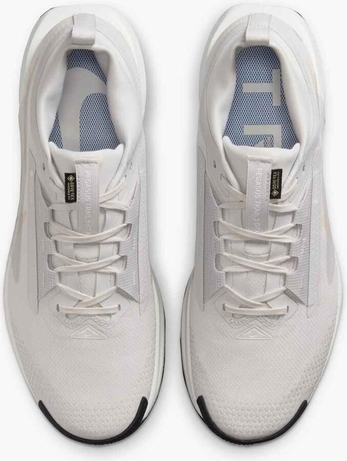 Nike Pegasus Trail 5 GORE-TEX Grijs- Heren Grijs