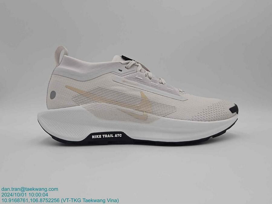 Nike Pegasus Trail 5 GORE-TEX Grijs- Heren Grijs - Foto 2