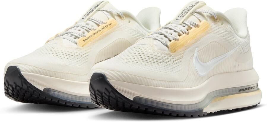 Nike Hardloopschoenen voor dames (straat) Pegasus Premium Grijs- Dames Grijs