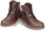 Panama Jack enkelboot faust igloo c20 castano chestt Bruin Heren - Thumbnail 4
