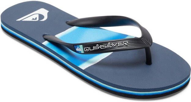 Quiksilver Molokai Airbrushed Sandalen blauw